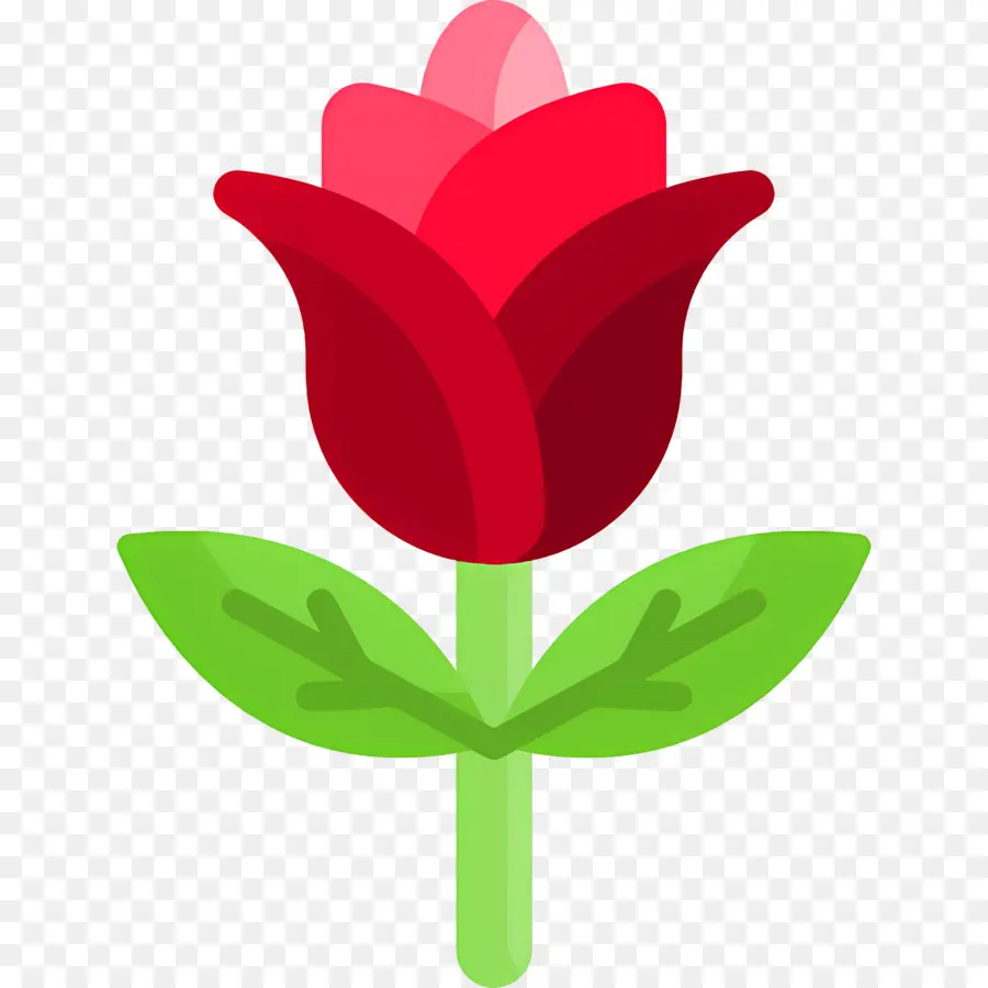 Fleur Rose，Rose PNG