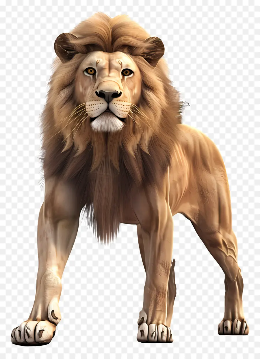 Lion Des Forêts，Lion PNG