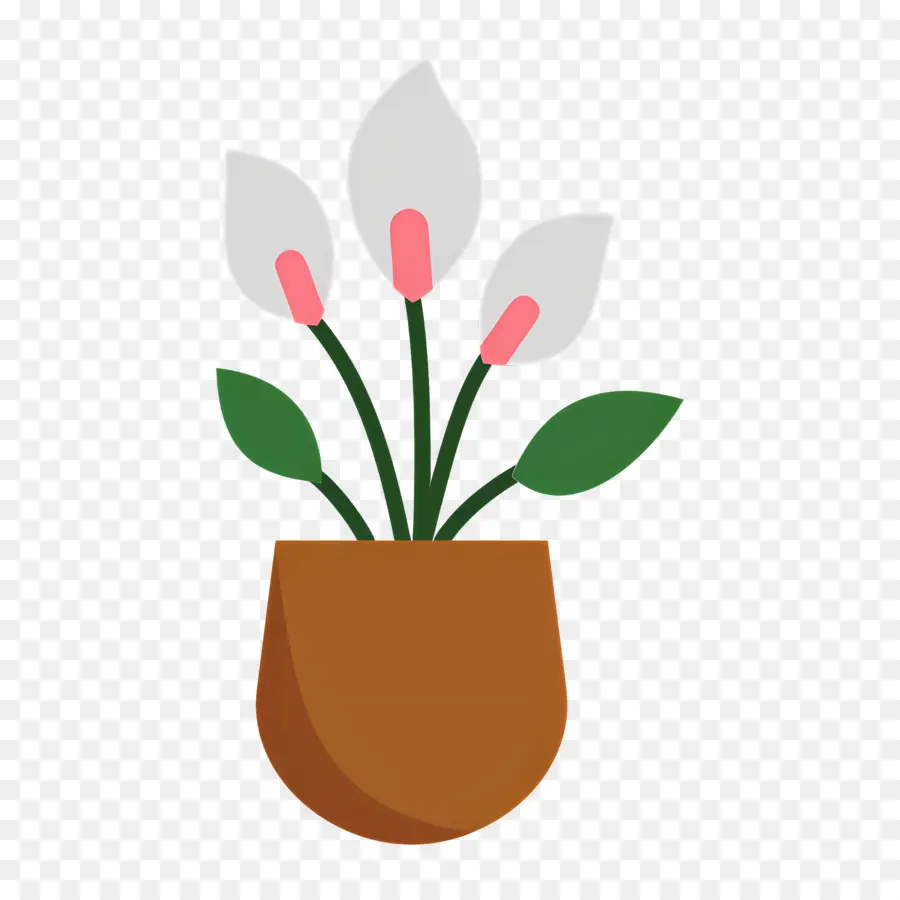 Fleur Tropicale，Plante En Pot PNG