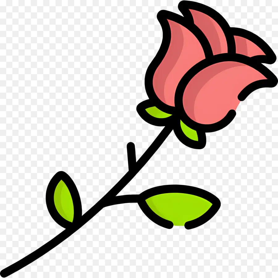 Fleur Rose，Rose Simple PNG