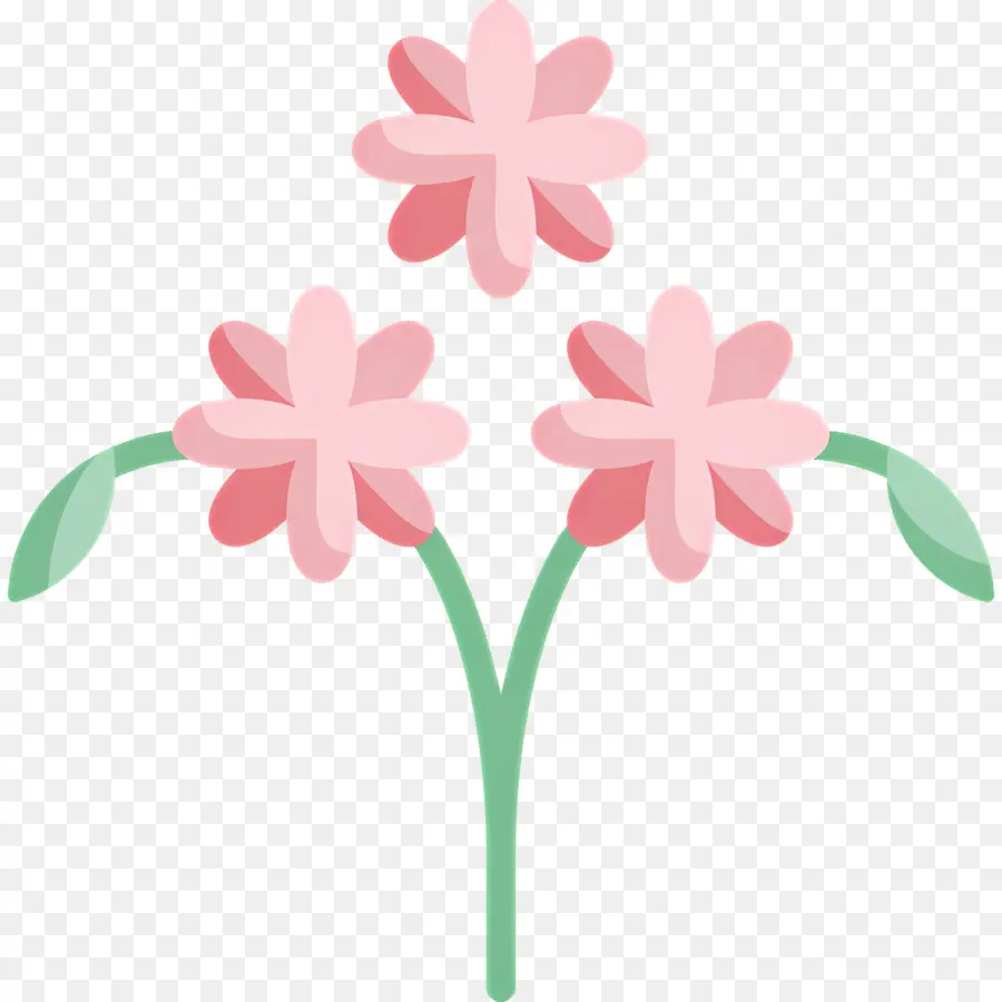 Fleur De Marguerite，Fleur Rose PNG