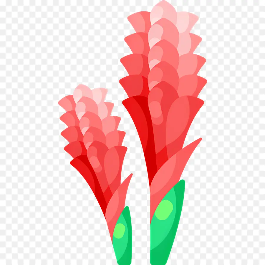 Fleur Tropicale，Fleurs Rouges PNG