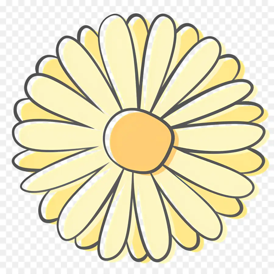 Fleur De Marguerite，Fleurs Jaunes PNG