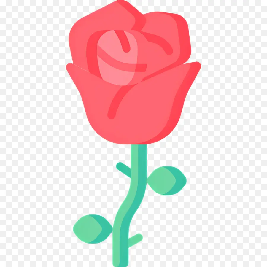 Fleur Rose，Rose Rouge PNG