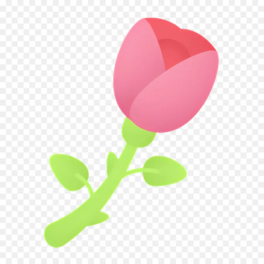 Fleur Rose，Rose Rose PNG