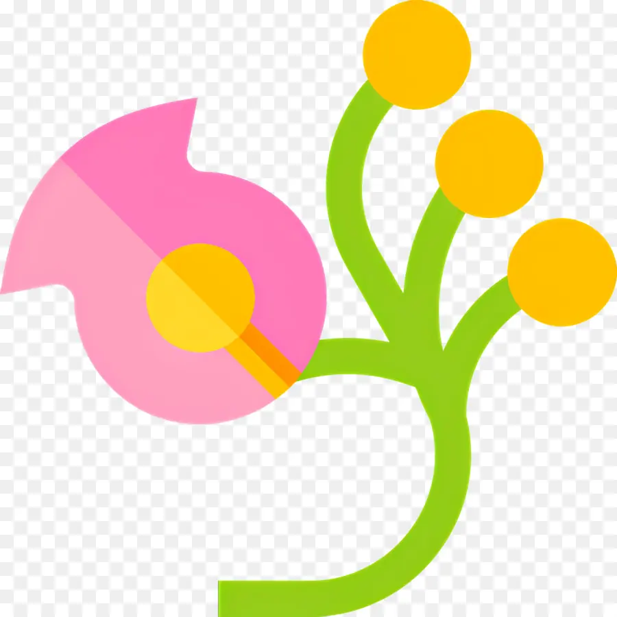 Fleur De Vigne，Fleur Rose PNG