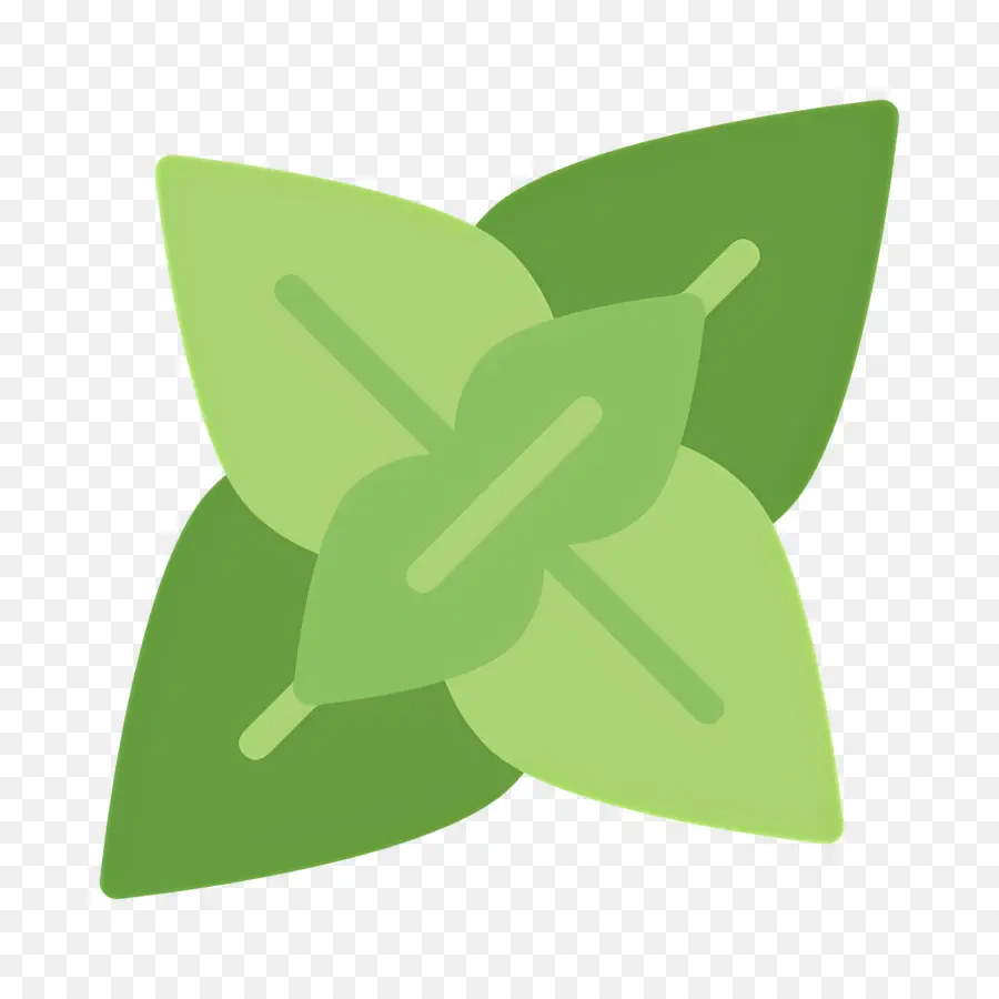 Basilic，Feuilles Vertes PNG