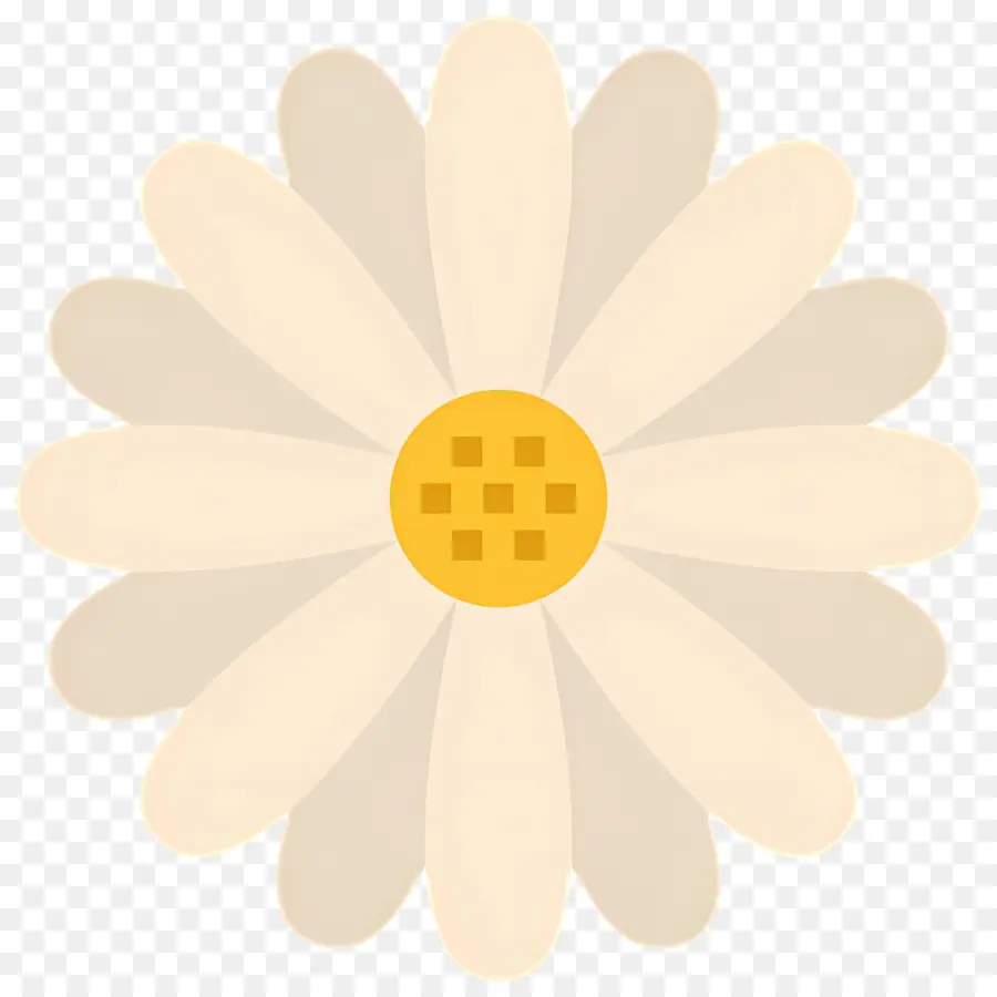 Fleur De Marguerite，Fleur Beige PNG