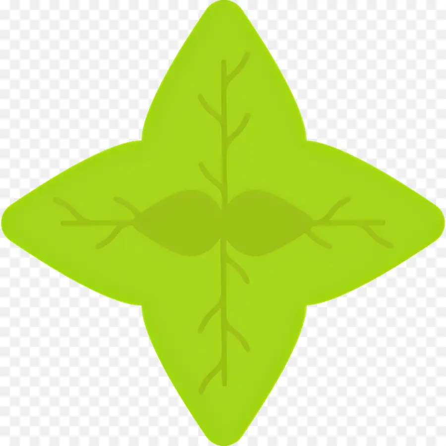 Basilic，Feuille Verte PNG