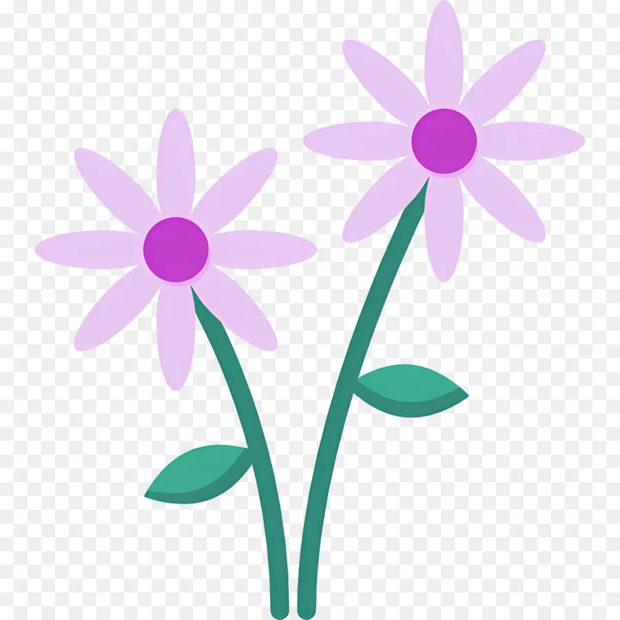 Fleur De Marguerite，Fleur PNG