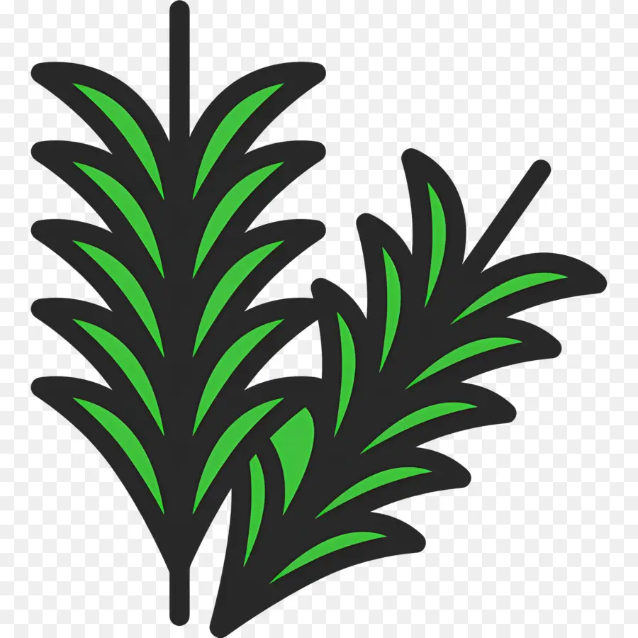 Romarin，Feuilles PNG