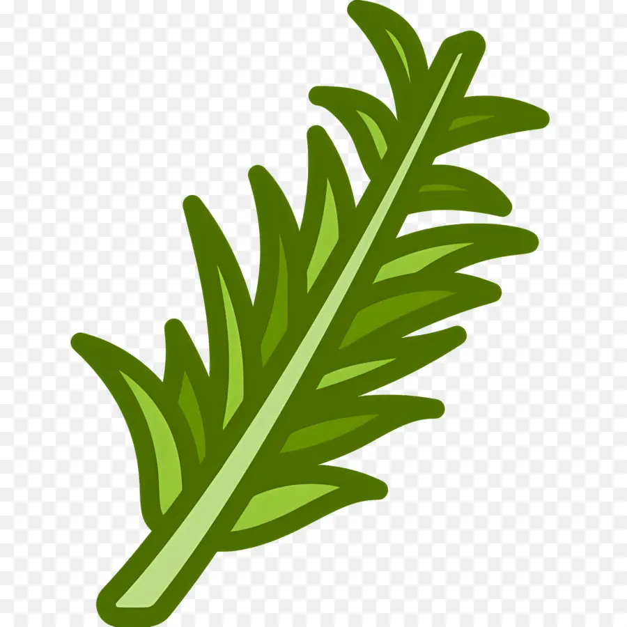 Romarin，Feuilles PNG