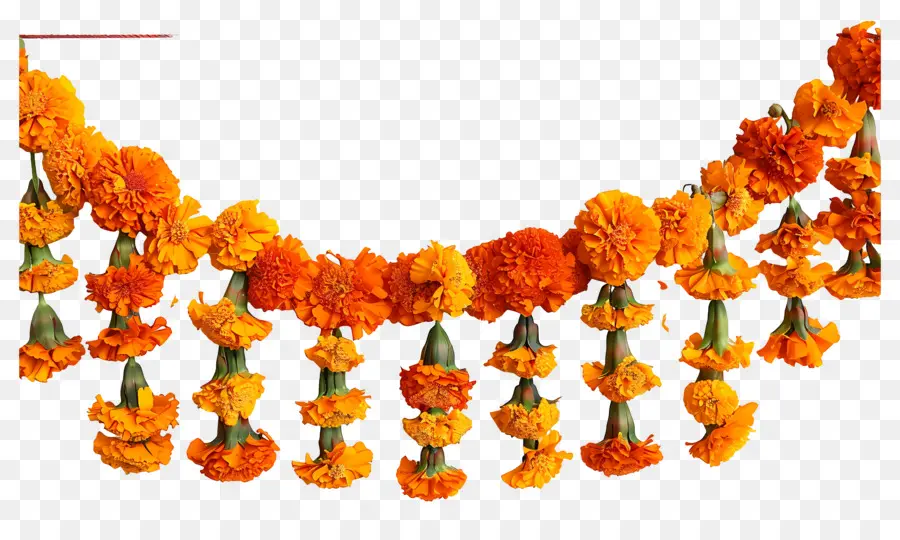 Guirlande De Soucis，Fleurs Oranges PNG