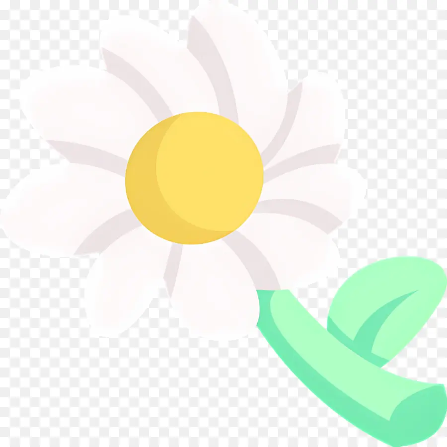 Fleur De Marguerite，Fleur Blanche PNG