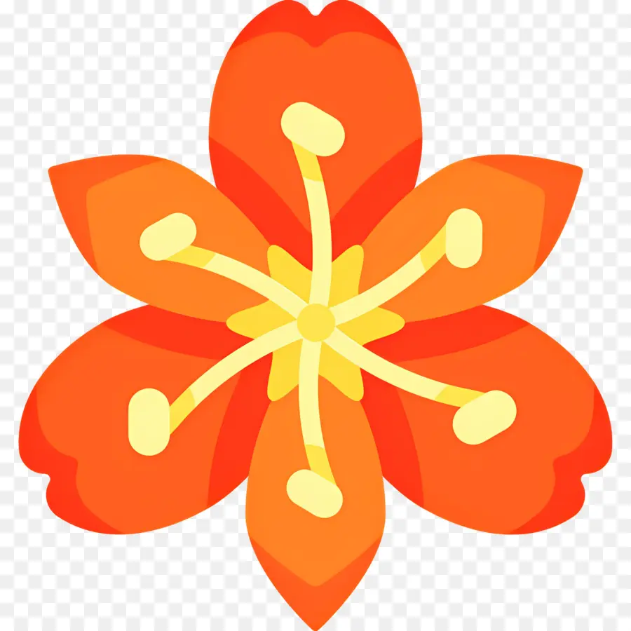 Fleur Tropicale，Fleur Rouge PNG