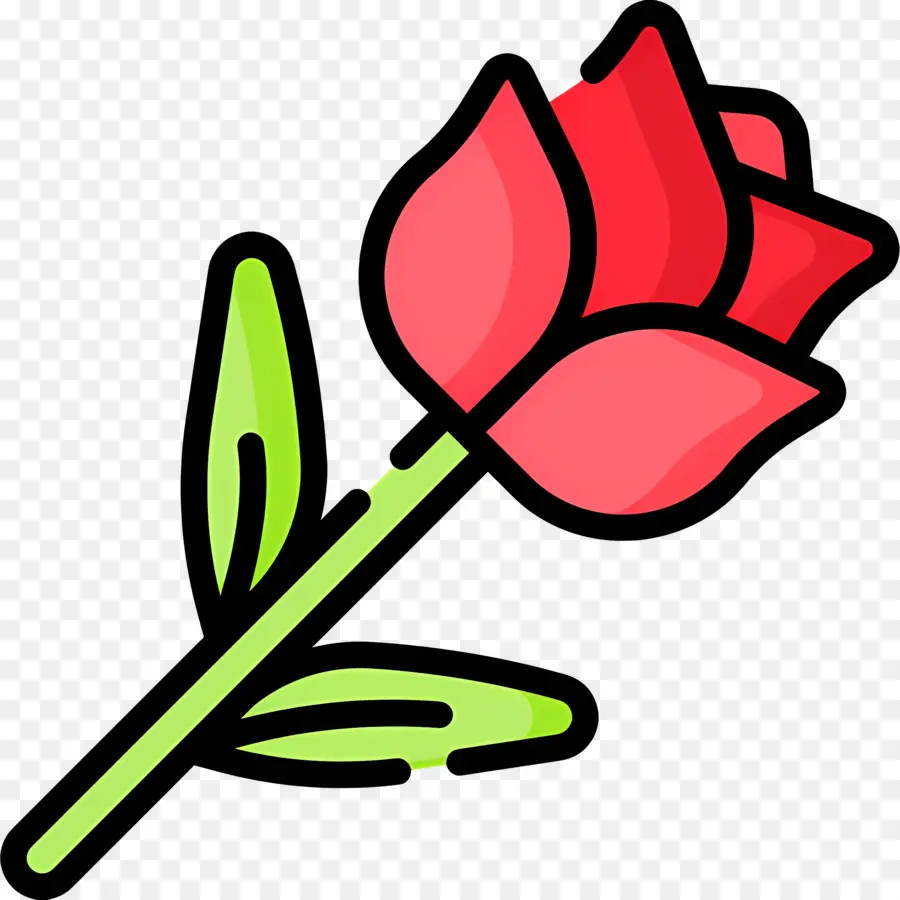 Fleur Rose，Rose PNG