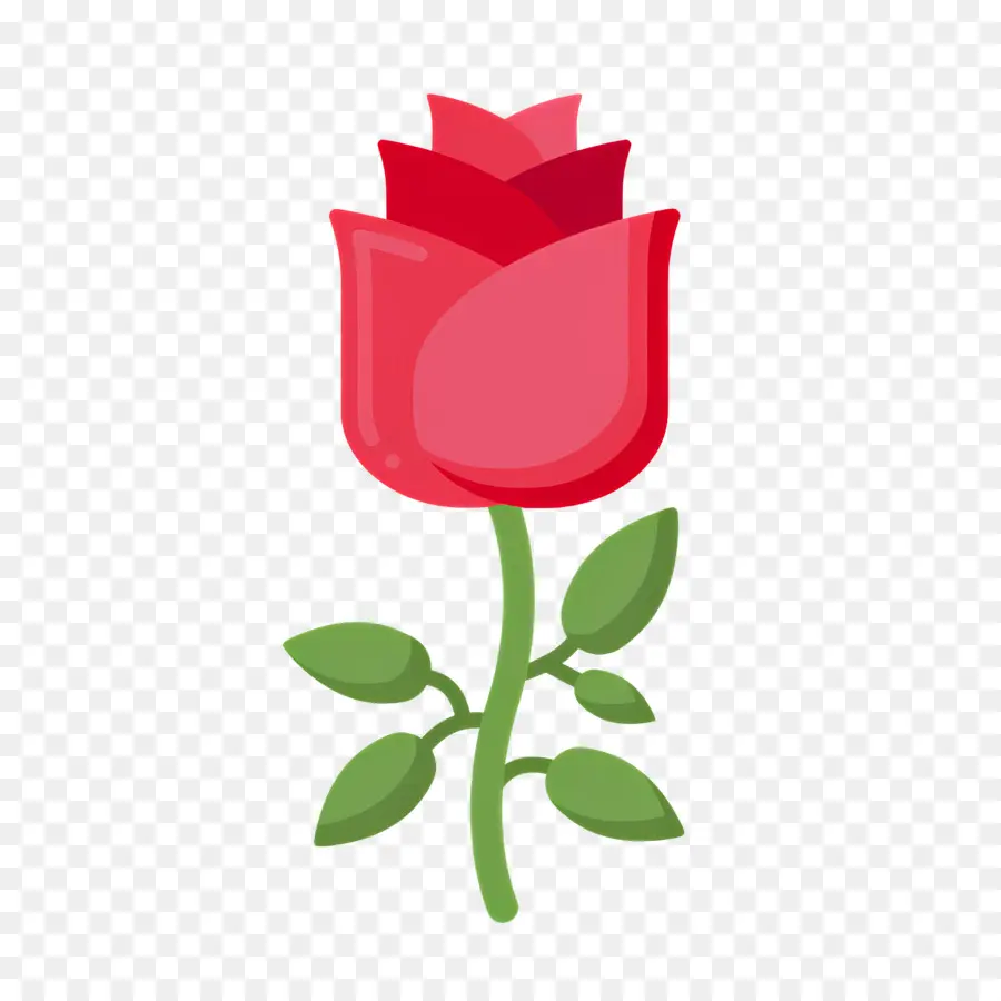 Fleur Rose，Rose Rouge PNG