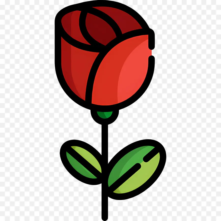 Fleur Rose，Rose Rouge PNG