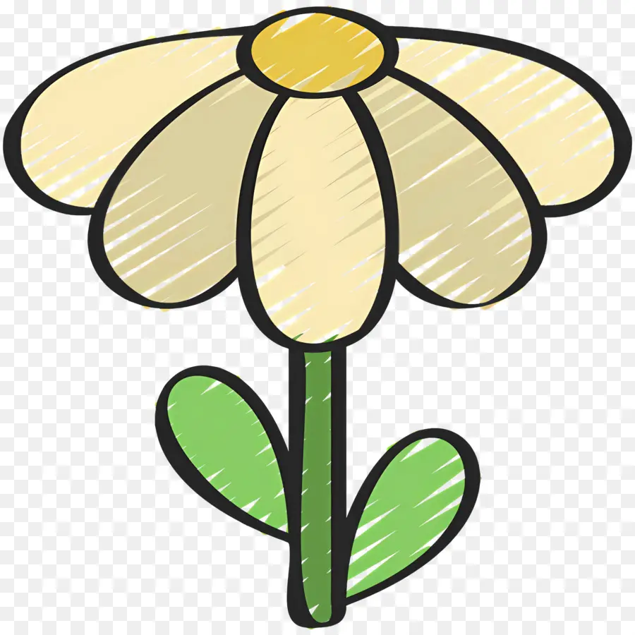 Fleur De Marguerite，Marguerite PNG