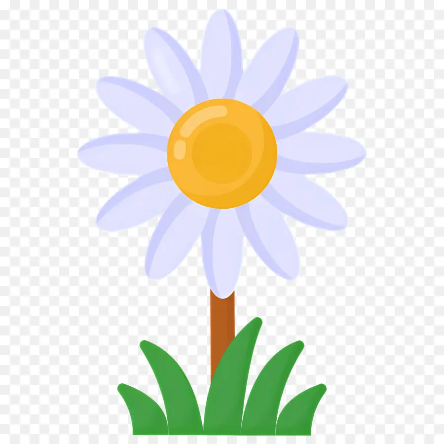 Fleur De Marguerite，Fleur Jaune PNG