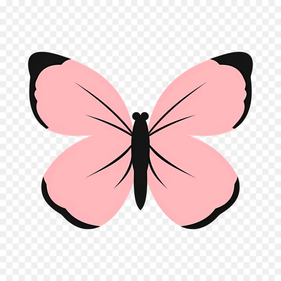 Papillon Rose，Insecte PNG