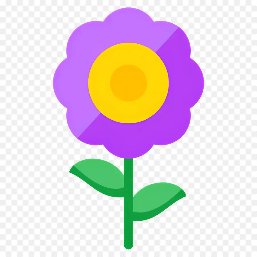 Fleur De Marguerite，Fleur PNG