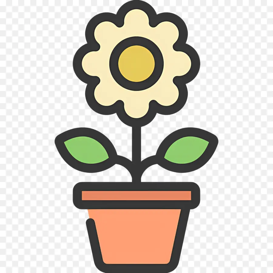 Fleur De Marguerite，Pot De Fleur PNG