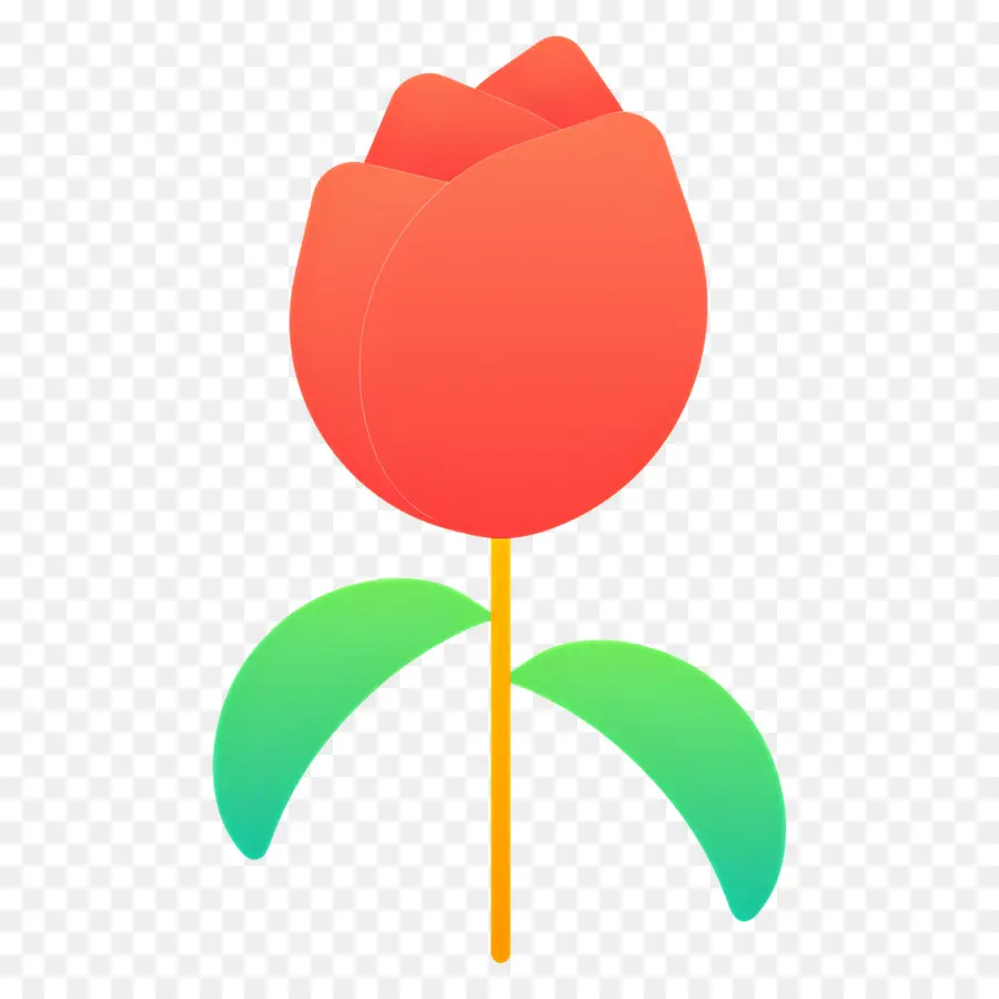 Fleur Rouge，Tulipe Rouge PNG