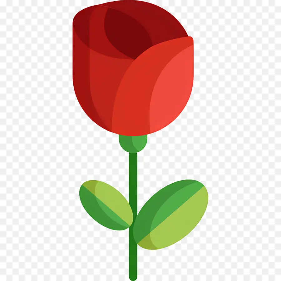 Fleur Rose，Rose Rose PNG