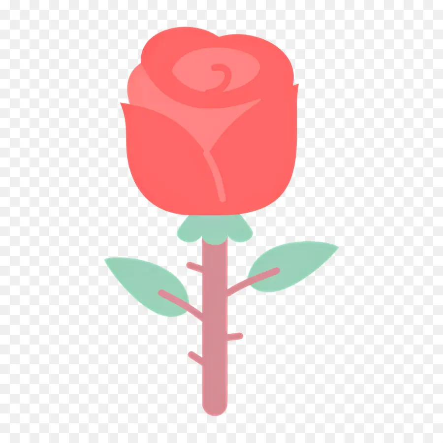 Fleur Rouge，Rose Rouge PNG