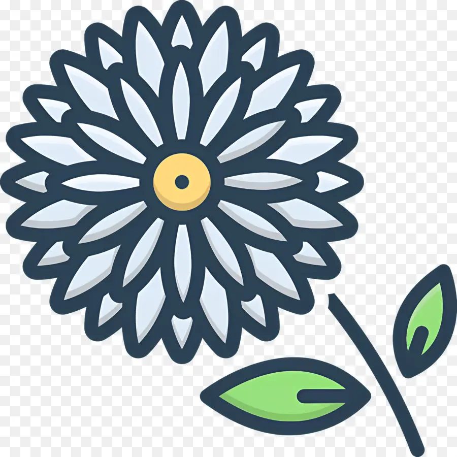 Fleur De Marguerite，Fleur PNG