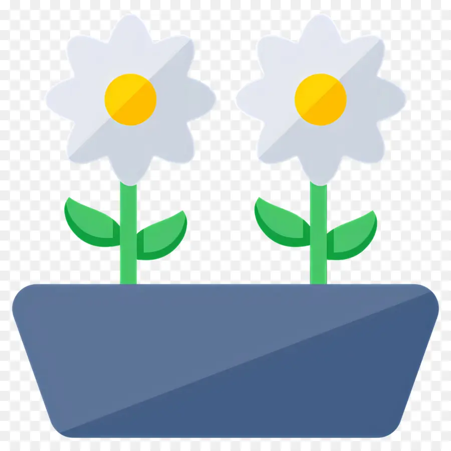 Fleur De Marguerite，Pot De Fleurs Avec Marguerites PNG