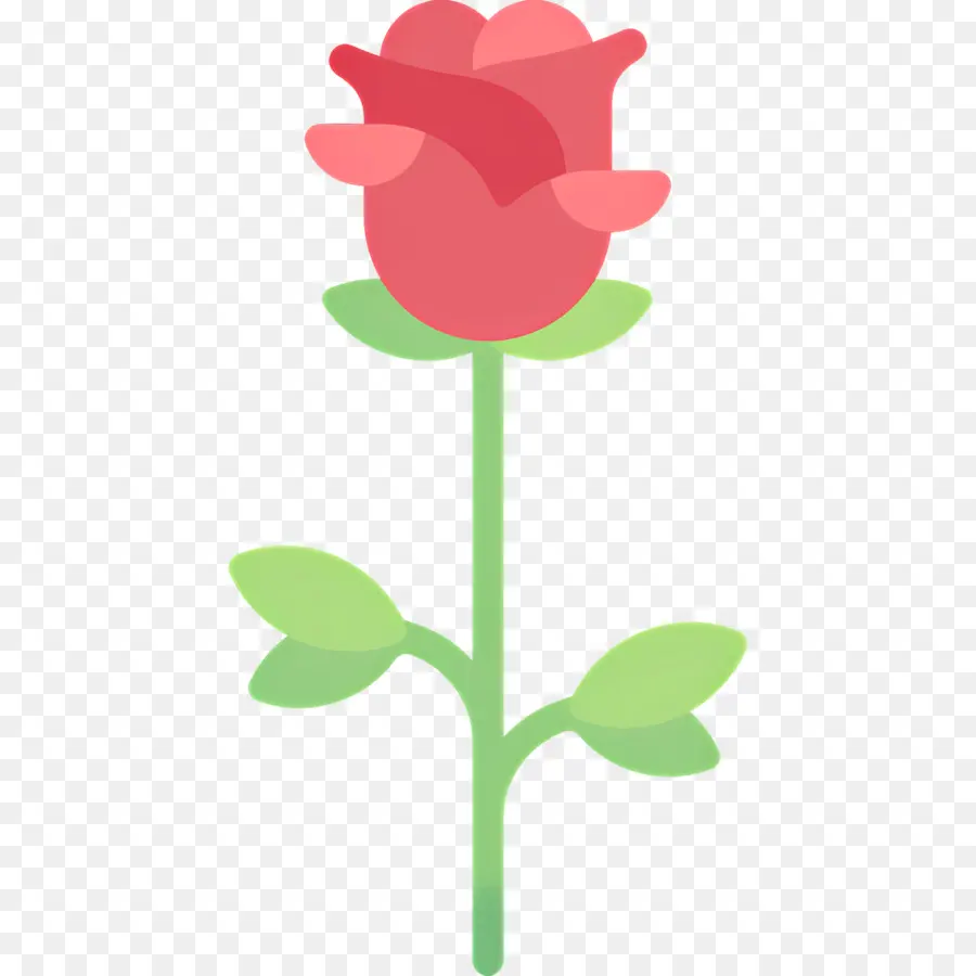 Fleur Rose，Rose PNG