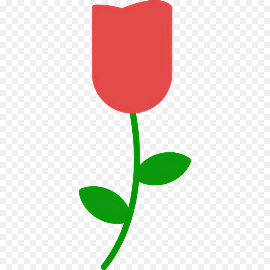 Fleur Rose，Rose Rose PNG