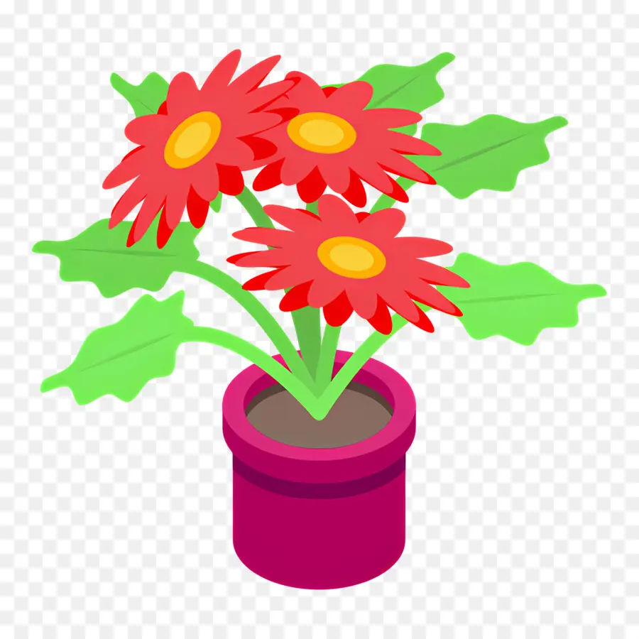 Fleur Rouge，Fleurs Rouges En Pot PNG