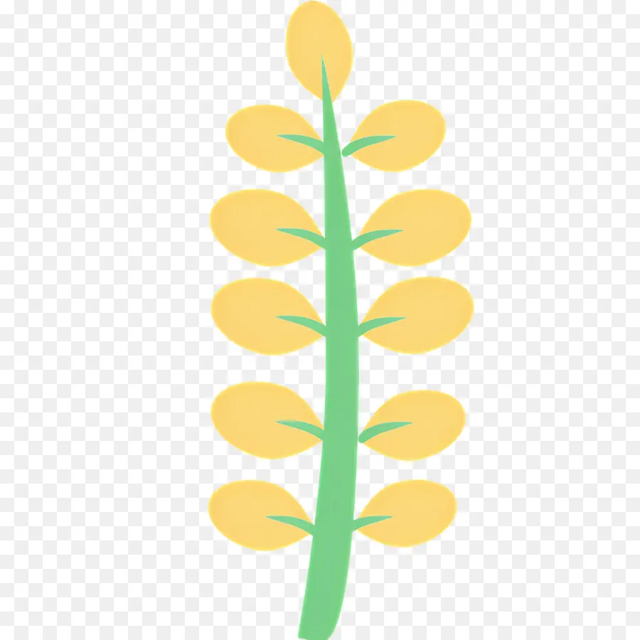 Fleur Jaune，Tige De Plante Jaune PNG