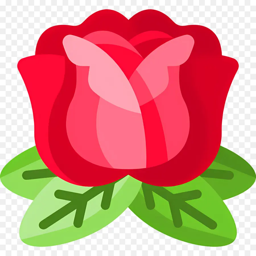 Fleur Rose，Rose Rouge PNG