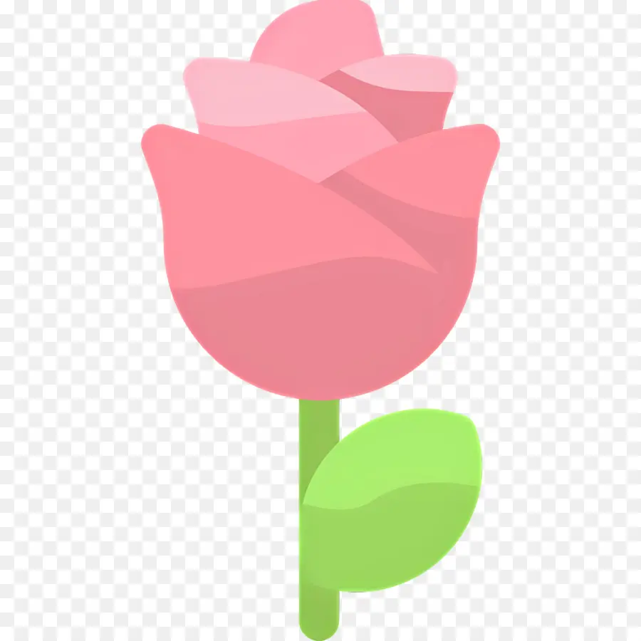 Fleur Rose，Rose PNG