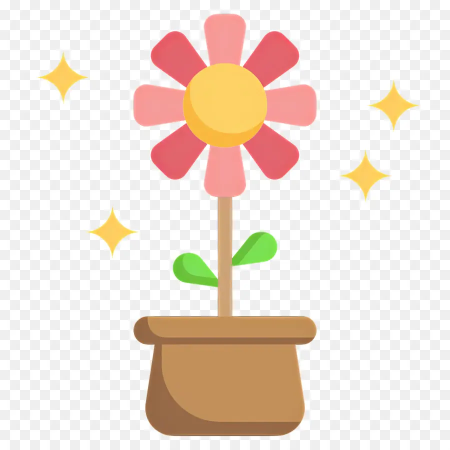 Fleur De Marguerite，Pot De Fleur PNG