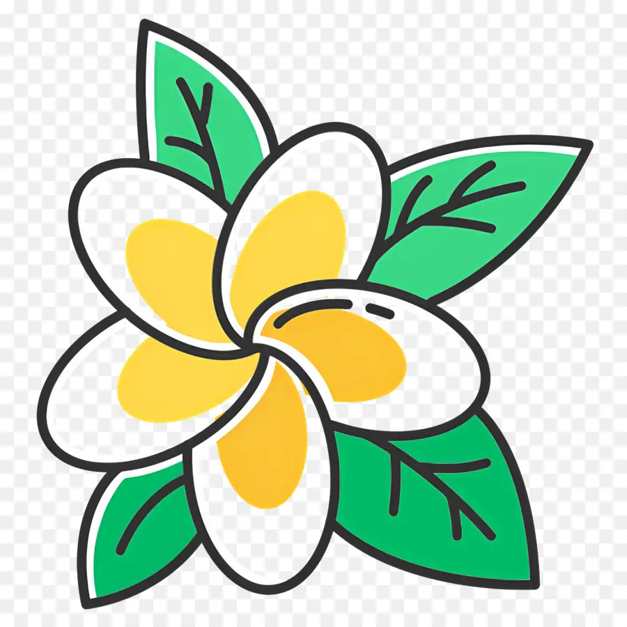 Fleur Tropicale，Fleur PNG