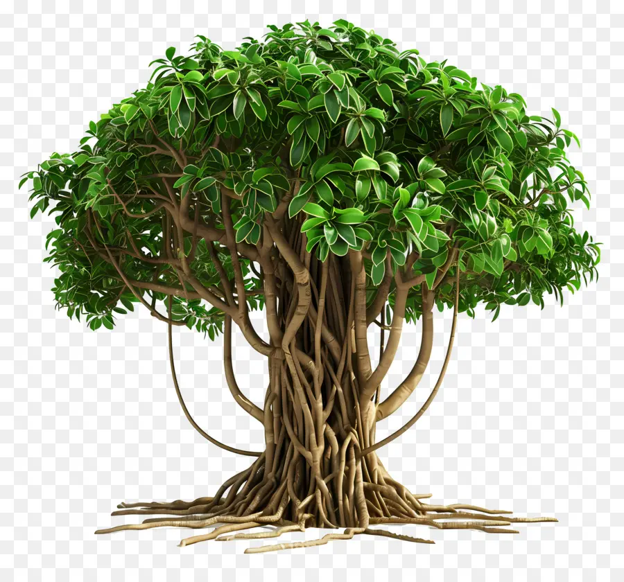 Arbre 3d，Arbre PNG