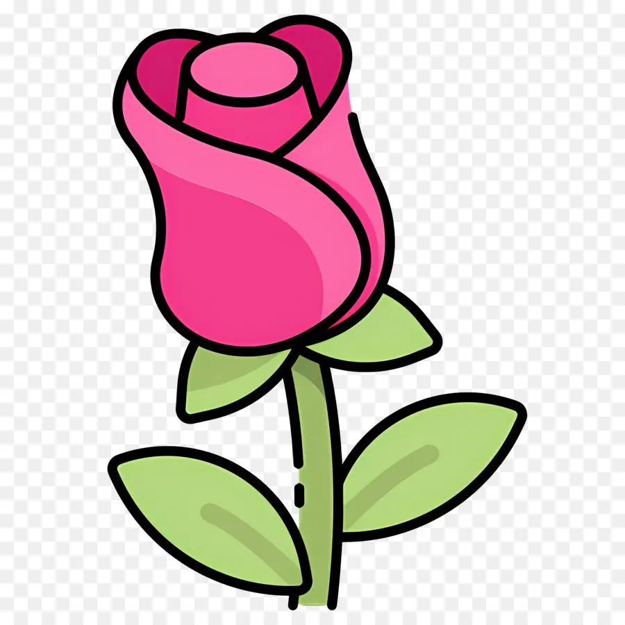 Fleur Rose，Rose Rouge PNG