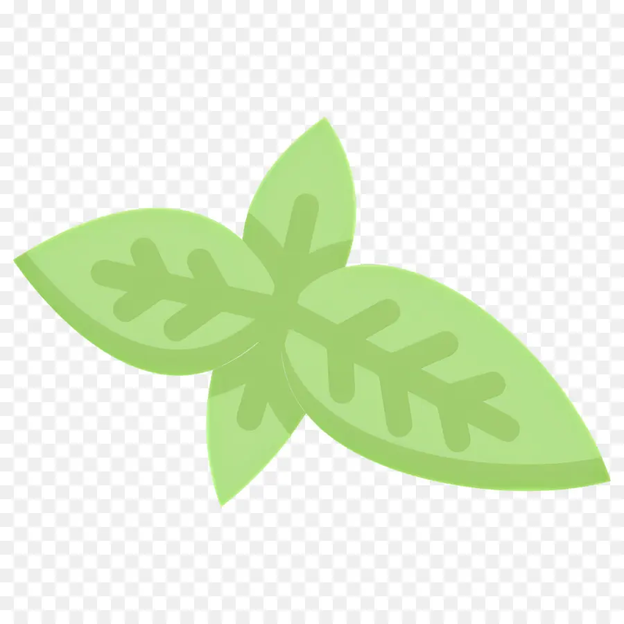 Basilic，Feuilles De Menthe PNG