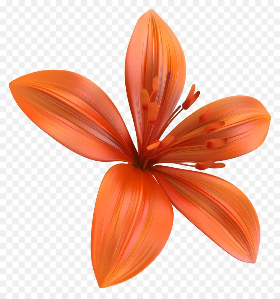 Fleur De Safran Modèle 3d，Fleur D'oranger PNG