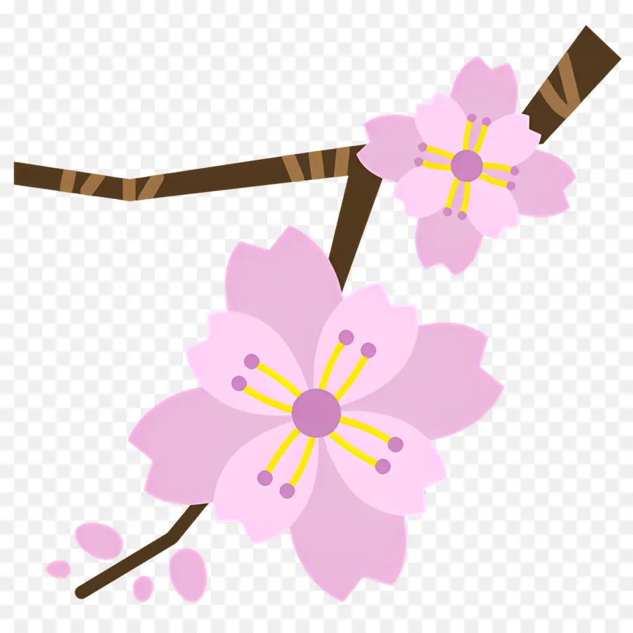 Fleur Rose，Fleur De Cerisier PNG