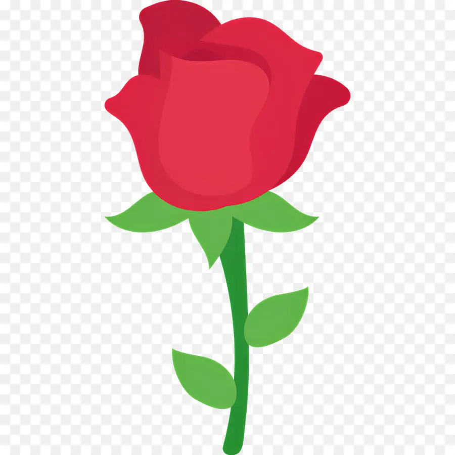 Fleur Rose，Rose Rouge PNG