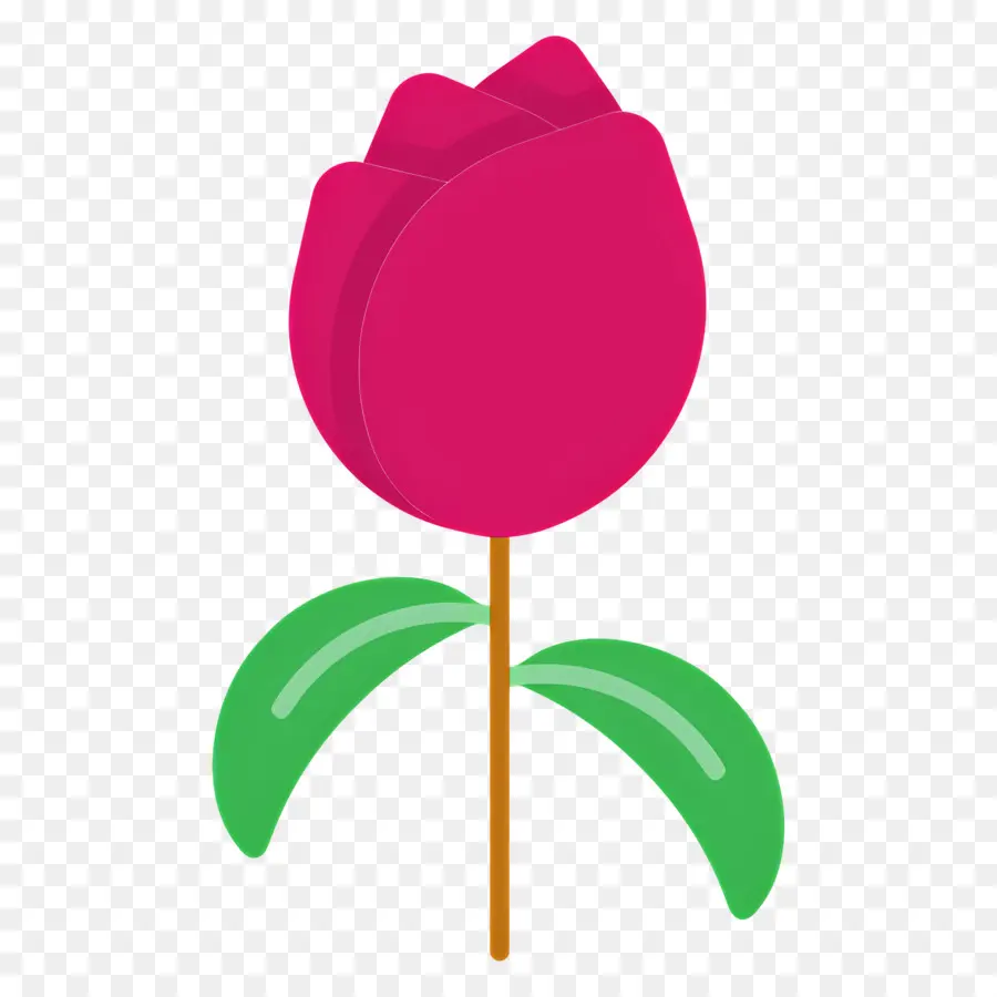 Fleur Rouge，Tulipe Rouge PNG