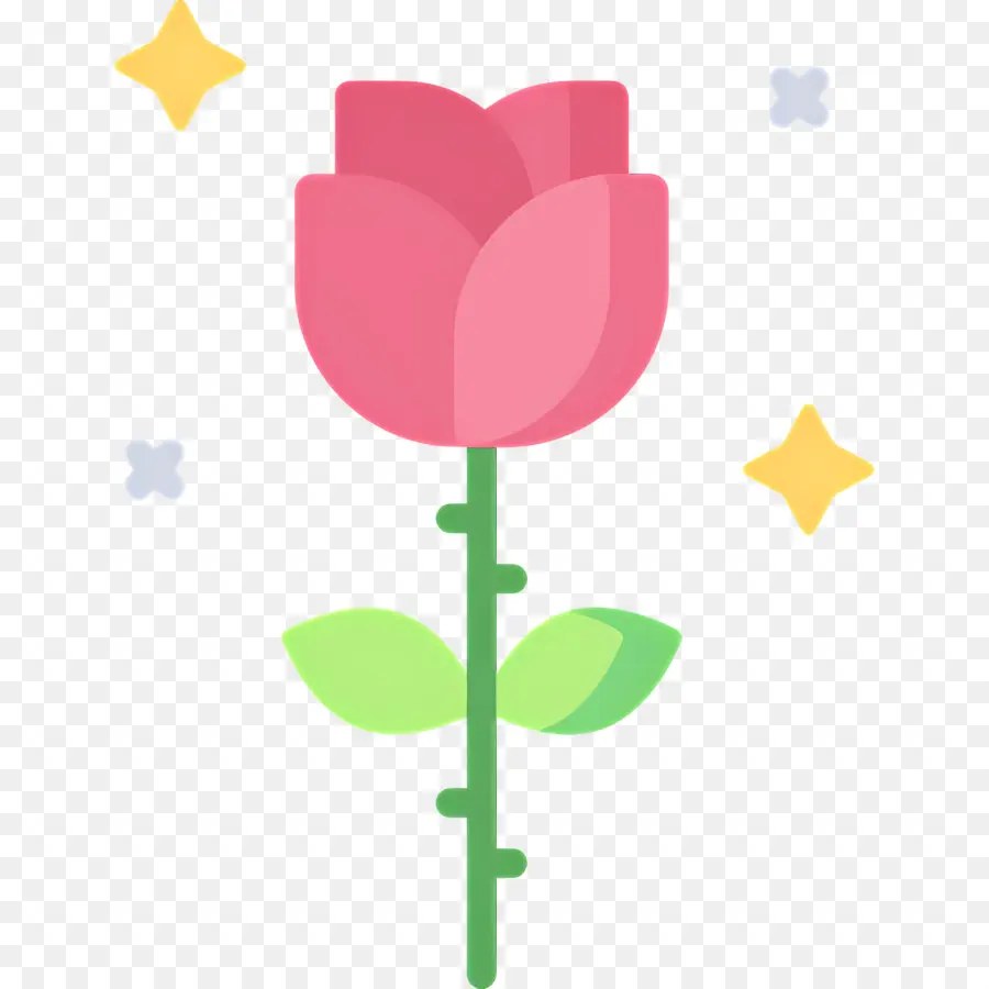 Fleur Rose，Usine PNG