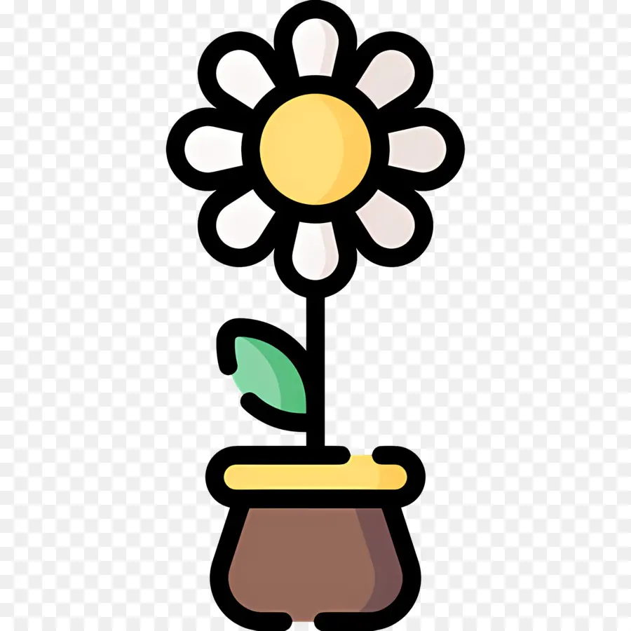 Fleur De Marguerite，Pot De Fleur PNG