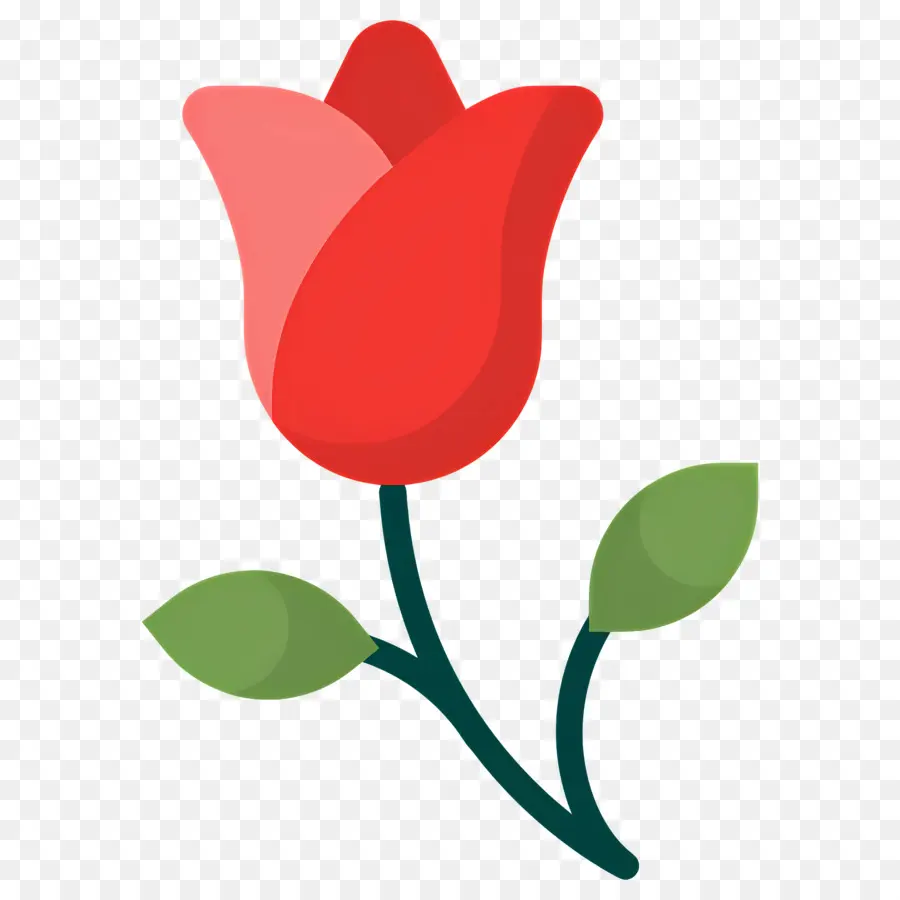 Fleur Rouge，Rose PNG